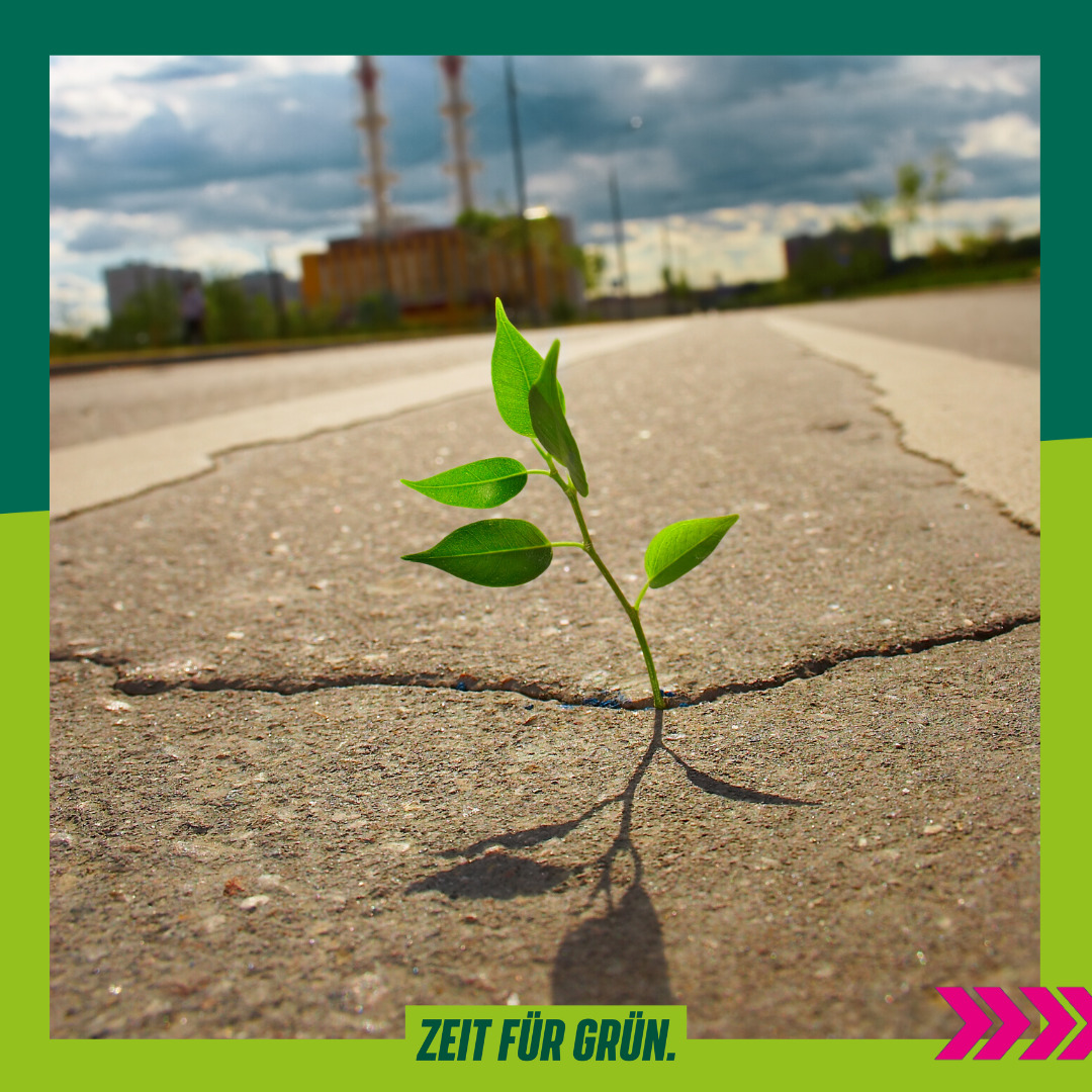 Aus grau wird grün Aus grau wird grün