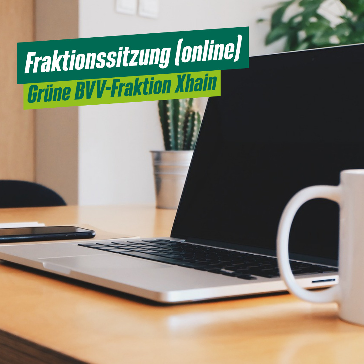 Fraktionssitzung der Grünen BVV-Fraktion Xhain (online)