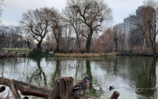 Volkspark Friedrichshain Winter