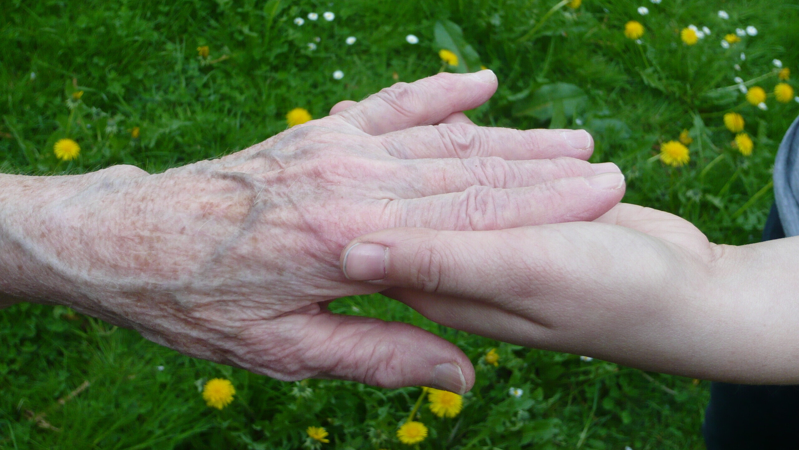 Alter und junger Mensch halten Hand von Schwester Klara / pixelio.de