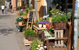 Gewerbe Blumenladen