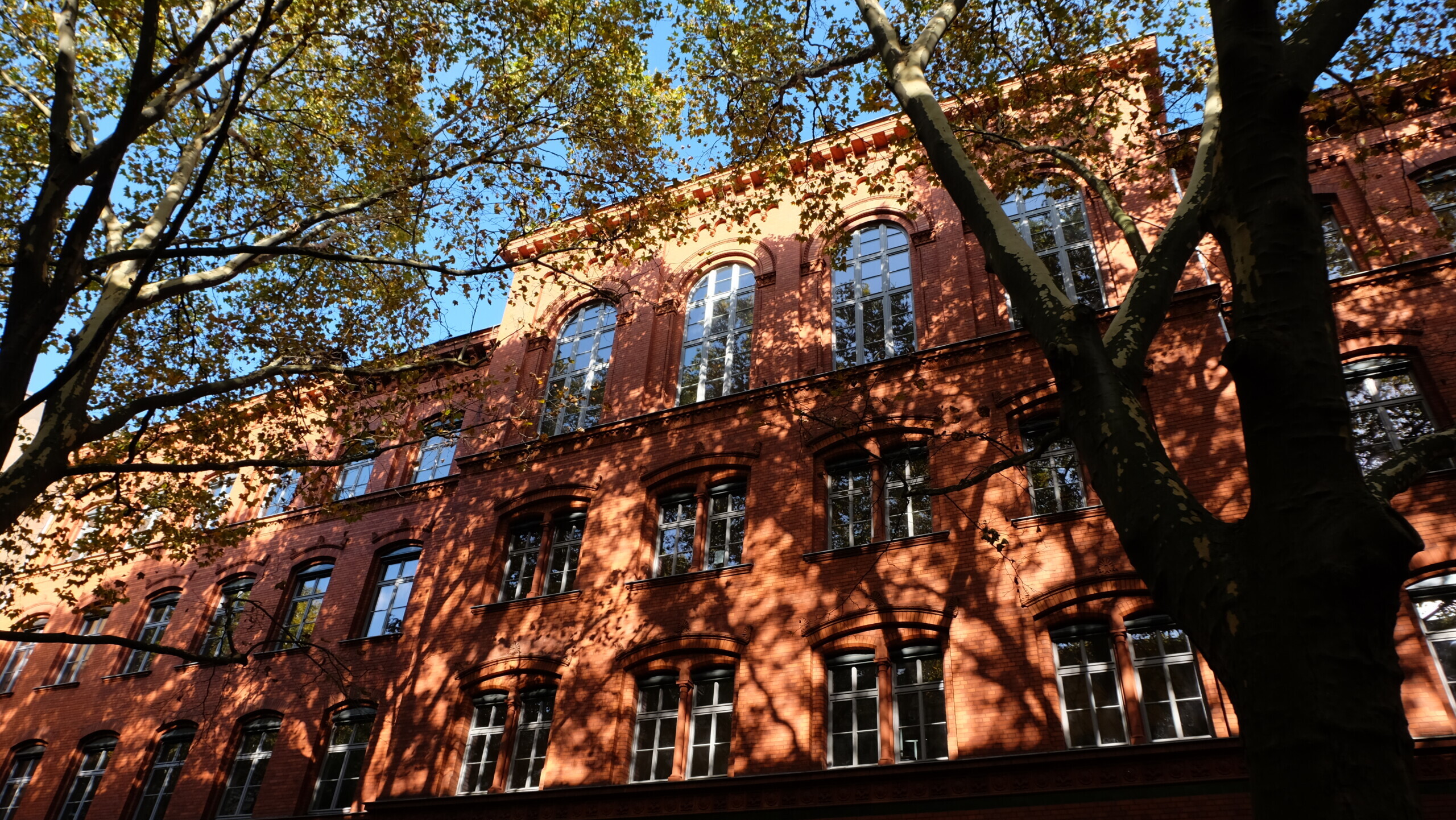 Robert-Koch-Gymnasium