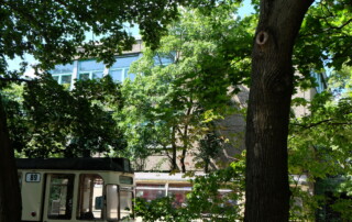 Reinhardswald Grundschule