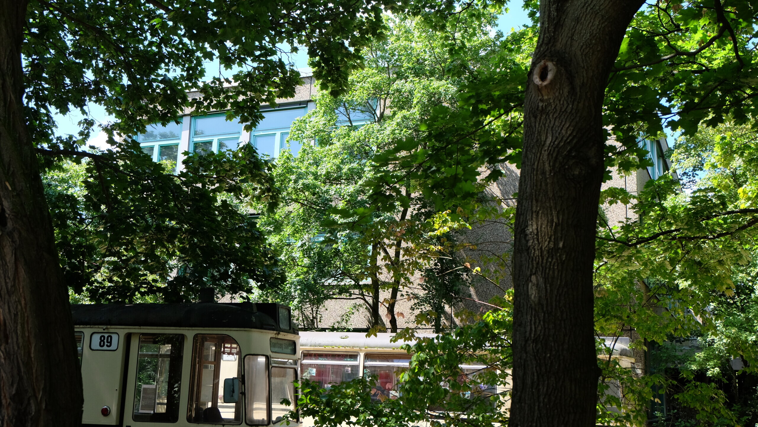 Reinhardswald Grundschule