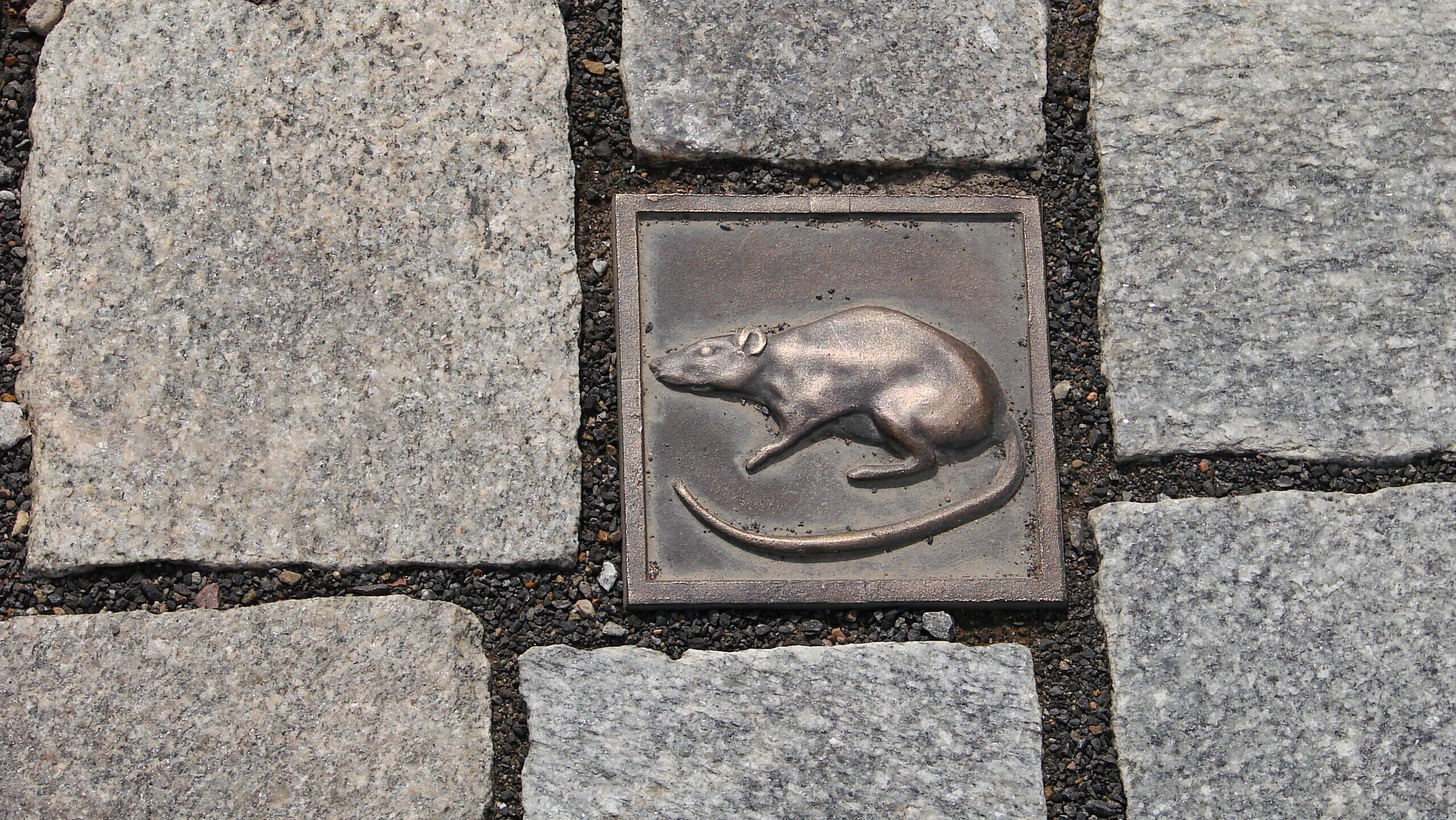 Pflasterstein mit Ratte von Multipla / pixelio.de